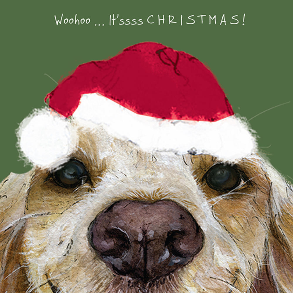 The Dog Excited For Christmas Little Dog Laughed Christmas Card Cards
